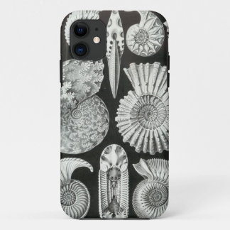 Ernst Haeckel - Ammonitida iPhone 11 Case