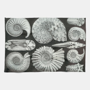 Ernst Haeckel Ammonitida fossils Kitchen Towel