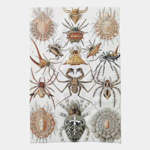 Ernst Haeckel Arachnida Spiders Poster Case-Mate i Kitchen Towel