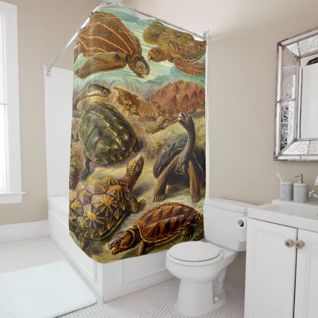Ernst Haeckel Art Print:Chelonia (In Situ)