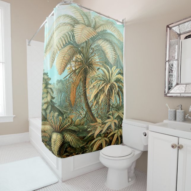 Ernst Haeckel Art Print:Filicina (In Situ)