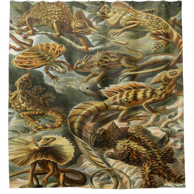 Ernst Haeckel Art Print:Lacertilia (Front)