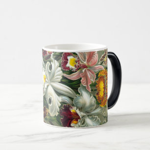 Ernst Haeckel Art Print:Orchidae Oncidiums, tulips Magic Mug