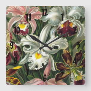Ernst Haeckel Art Print:Orchidae Oncidiums, tulips Square Wall Clock