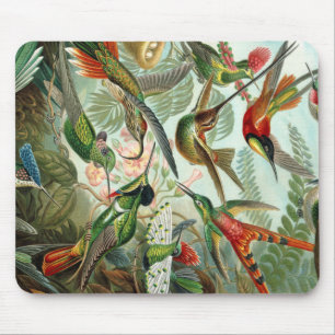 Ernst Haeckel Art Print: Trochilidae Mouse Pad