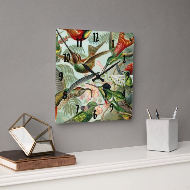Ernst Haeckel Art Print: Trochilidae Square Wall Clock (Office)