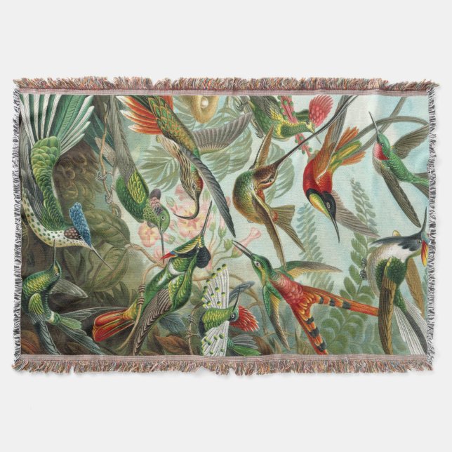Ernst Haeckel Art Print: Trochilidae Throw Blanket (Front)