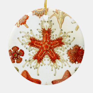 ernst haeckel artwork ceramic ornament