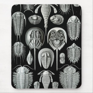 Ernst Haeckel - Aspidonia Mouse Pad