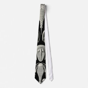 Ernst Haeckel Aspidonia Tie
