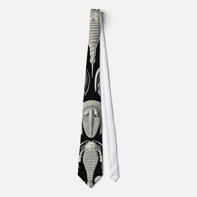Ernst Haeckel Aspidonia Tie (Front)