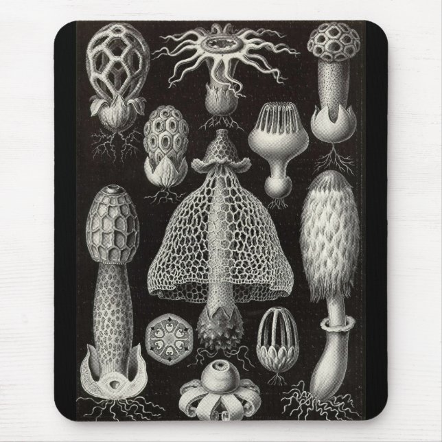 Ernst Haeckel - Basimycetes Mushrooms Mouse Pad (Front)
