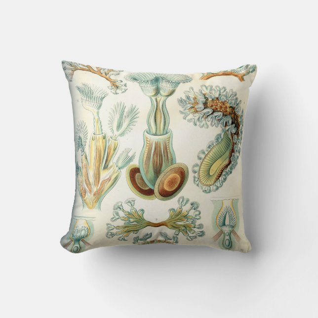 Ernst Haeckel Bryozoa invertebrates Throw Pillow (Front)
