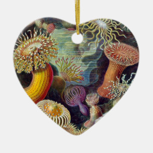 Ernst Haeckel Ceramic Ornament