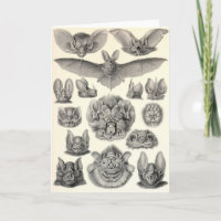Ernst Haeckel - Chiroptera Bats