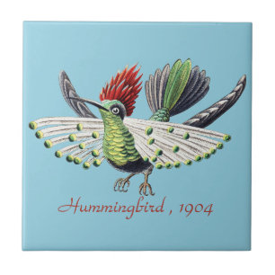 Ernst Haeckel Colourful Hummingbird Nature Art Tile