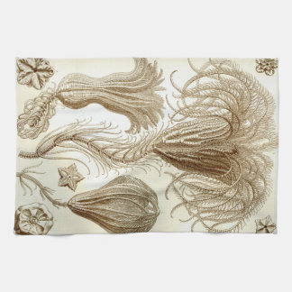 Ernst Haeckel Crinoidea feather stars Kitchen Towel