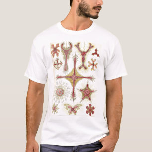 Ernst Haeckel - Discoidea Tshirt