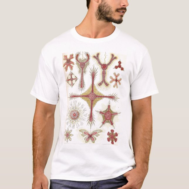 Ernst Haeckel - Discoidea Tshirt (Front)