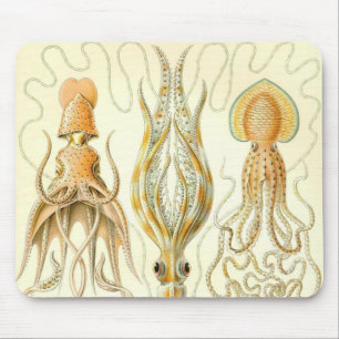 Ernst Haeckel - Gamochonia Detail Mouse Pad