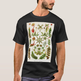 Ernst Haeckel - Hepaticae (Liverworts) - Vintage B T-Shirt