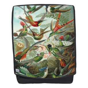 Ernst Haeckel Hummingbirds - Art Forms of Nature Backpack
