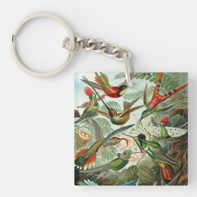 Ernst Haeckel Hummingbirds - Art Forms of Nature Keychain (Front)