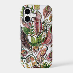 Ernst Haeckel Kunstformen der Natur Nepenthaceae P