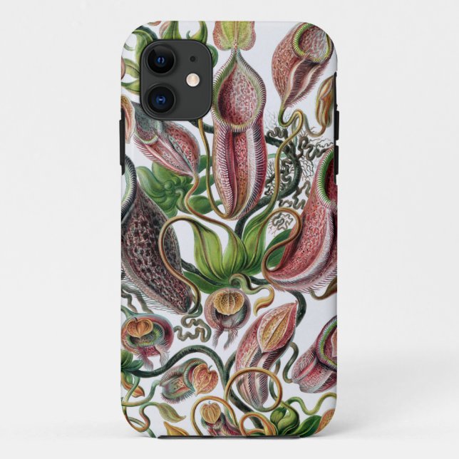 Ernst Haeckel Kunstformen der Natur Nepenthaceae P Case-Mate iPhone Case (Back)
