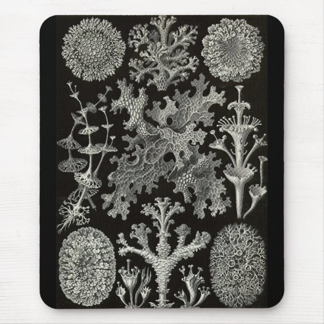 Ernst Haeckel - Lichenes Mouse Pad (Front)