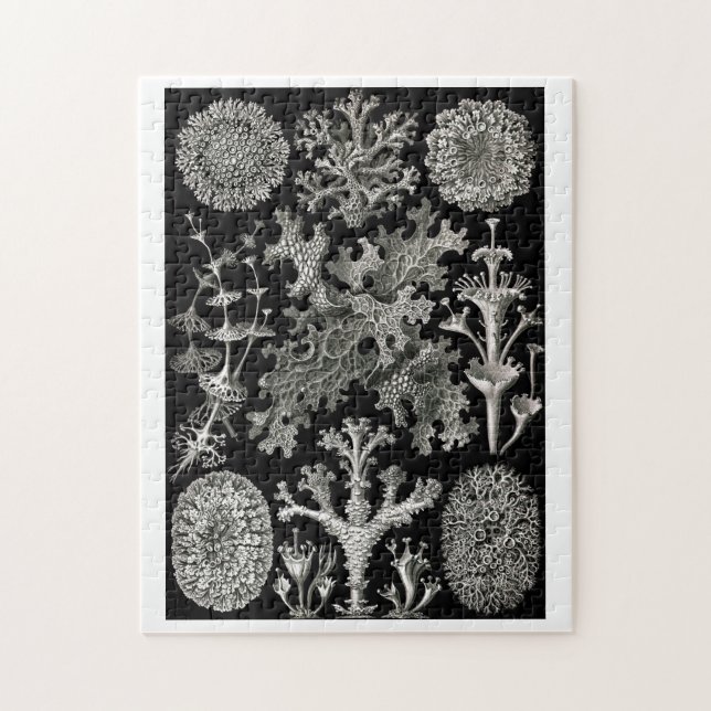 Ernst Haeckel Lichens Jigsaw Puzzle (Vertical)