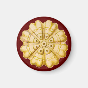 Ernst Haeckel Magnet