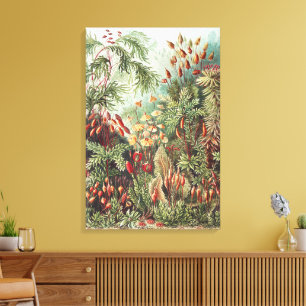 Ernst Haeckel Moss Nature Print Dark Academia