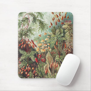 Ernst Haeckel Moss Nature Print Dark Academia Mouse Pad