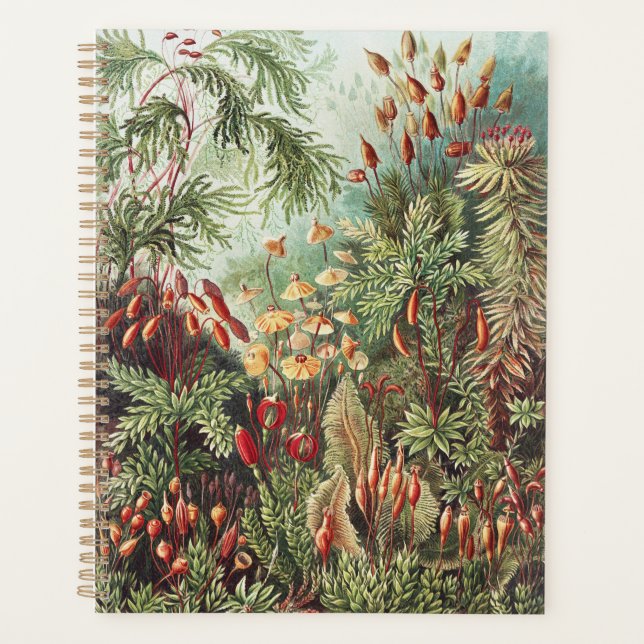 Ernst Haeckel Moss Nature Print Dark Academia Planner (Front)