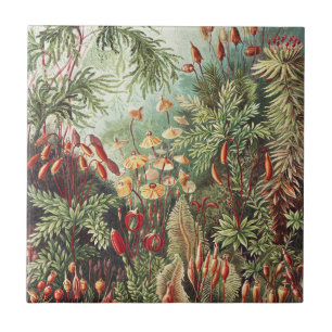 Ernst Haeckel Moss Nature Print Dark Academia Tile