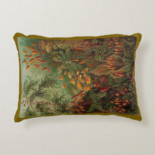 Ernst Haeckel Muscinae vintage illustration Accent Pillow