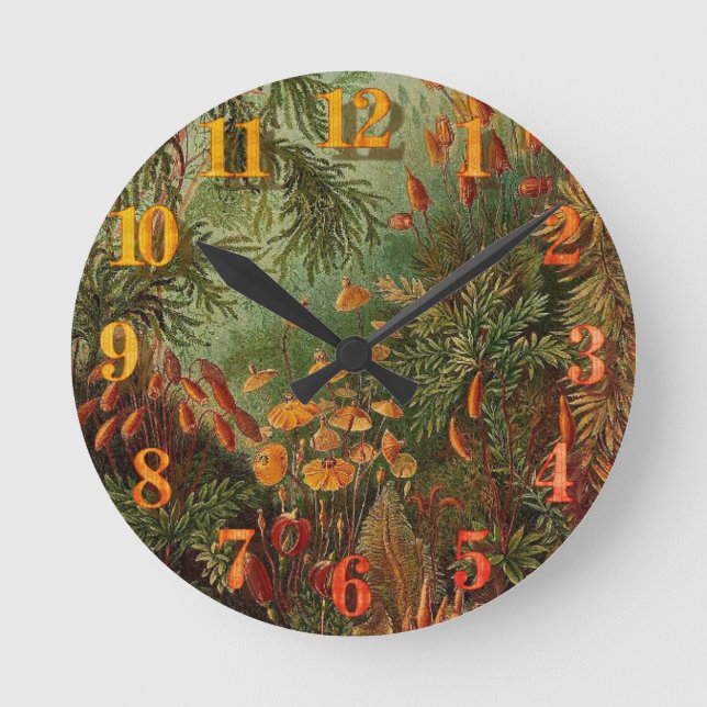 Ernst Haeckel Muscinae vintage illustration Round Clock (Front)