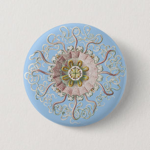 Ernst Haeckel Nautical Pink Jellyfish Medusa 2 Inch Round Button