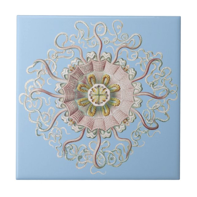 Ernst Haeckel Nautical Pink Jellyfish Medusa Tile (Front)