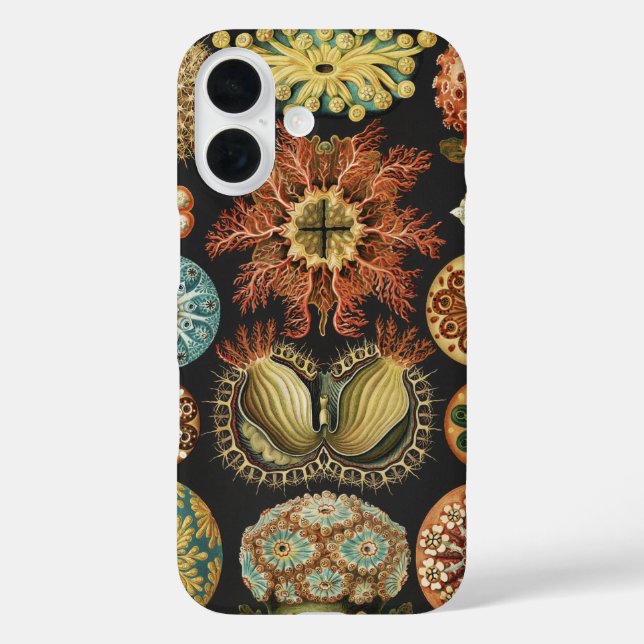 Ernst Haeckel Nautical Sea Life Art Collage Case-Mate iPhone Case (Back)
