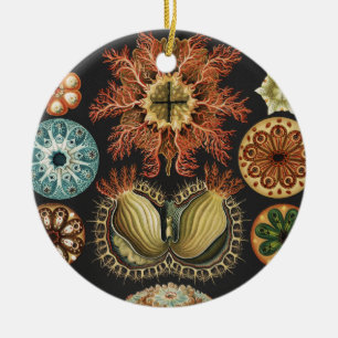 Ernst Haeckel Nautical Sea Life Art Collage Ceramic Ornament