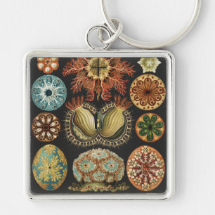 Ernst Haeckel Nautical Sea Life Art Collage Keychain