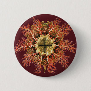 Ernst Haeckel Nautical Tunicate Red Sea Life Art 2 Inch Round Button