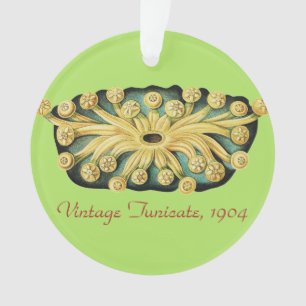 Ernst Haeckel Nautical Yellow Sunburst Art Ornament