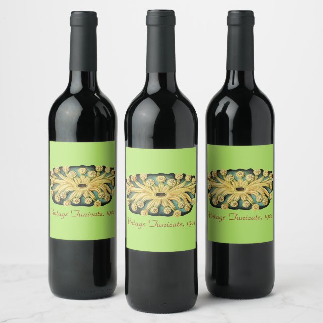 Ernst Haeckel Nautical Yellow Sunburst Art Wine Label (Bottles)