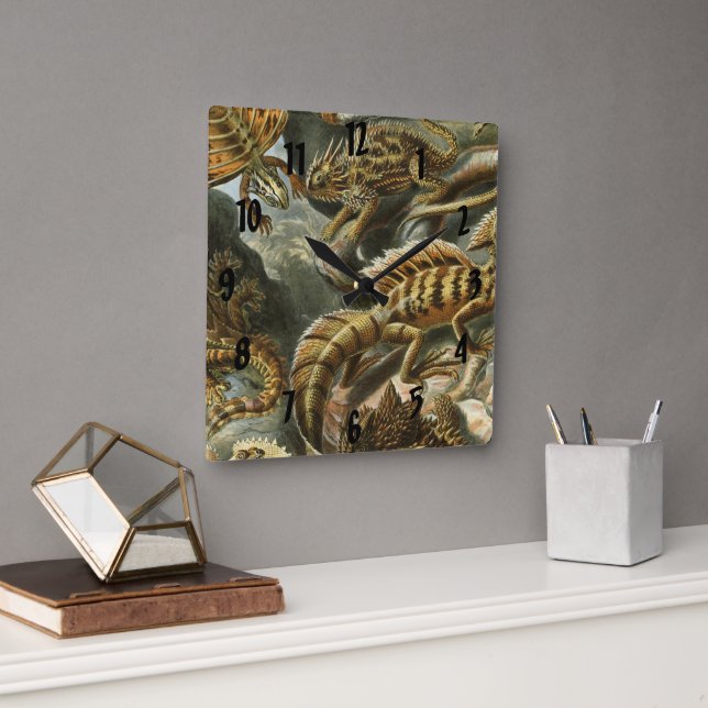 Ernst Haeckel old fashion illustration Lacertilia Square Wall Clock (Office)