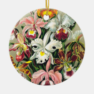 Ernst Haeckel - Orchids Ceramic Ornament