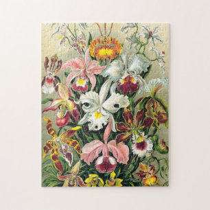 Ernst Haeckel - Orchids Jigsaw Puzzle