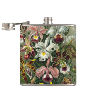 Ernst Haeckel Orchids, Vintage Rainforest Flowers Hip Flask